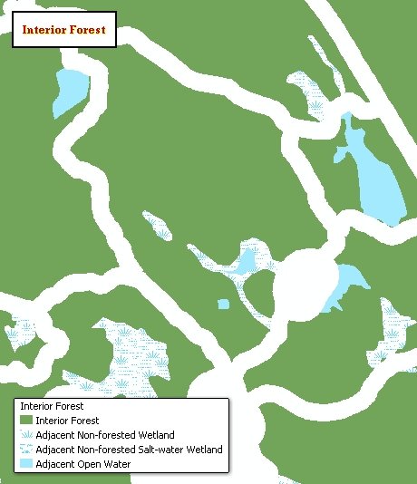Official local sample distinguishing interior forest from adjacent land and water.