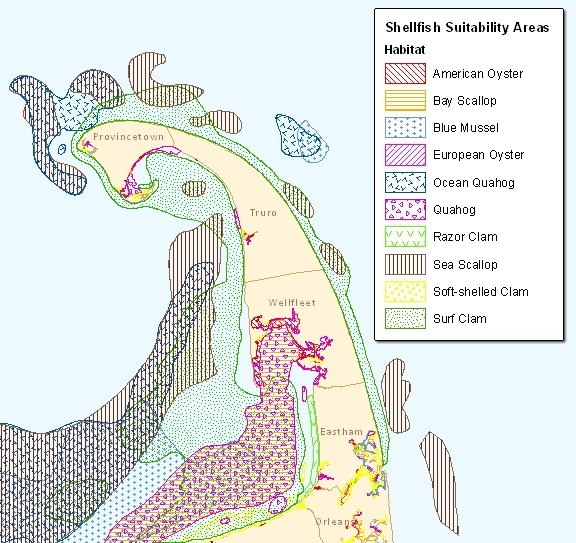 Official Cape Cod shellfish suitability sample with the original species legend.