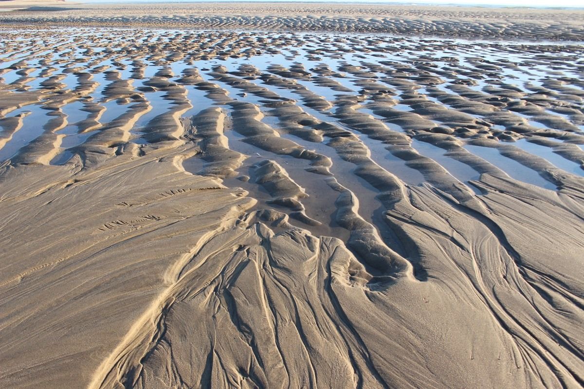 Context image for Cape Cod: a changing coast. The visit page identifies the image.