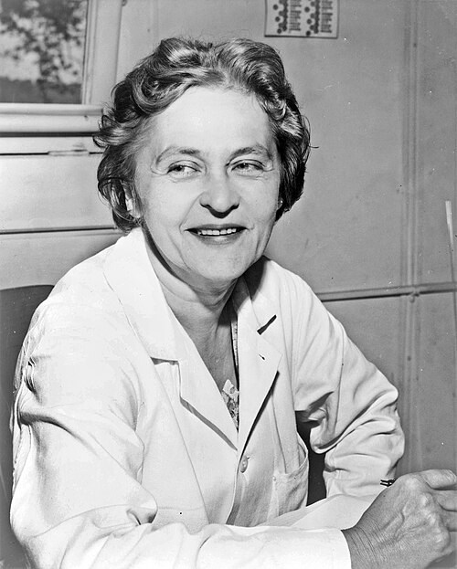 Portrait of Mária Telkes.